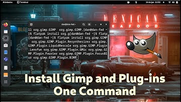 How to install GIMP With All The Essencial Plug-ins In Linux -  Flatpak version One Command