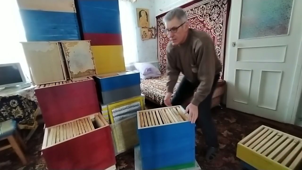 Український корпусний-найкращий вулик.