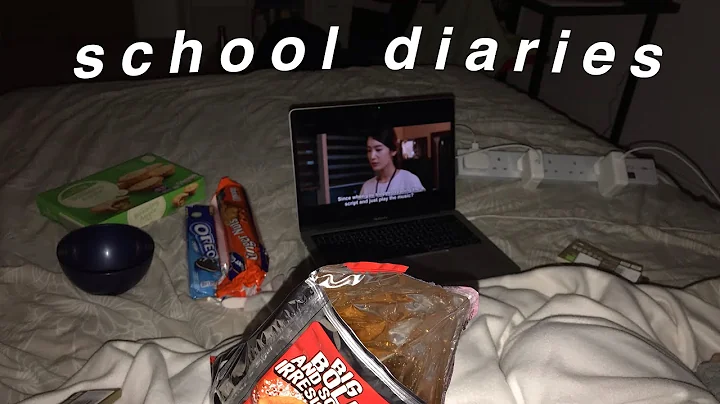 school diaries | studying in dublin for a day