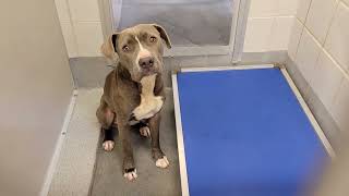 acs A647922