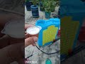Gulab Ke Liye Best Pesticide/How to control Thrips Mites Scale!