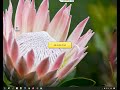 Windows: Organize files in a folder structure based on file attributes using Copywhiz