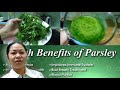 Homemade Parsley Juice Immune Booster