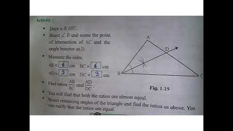 10th Math 2 || Geometry Chapter 1 Similarity || all activities