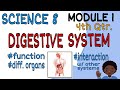 Digestive system module 1 science 8 fourth grading period