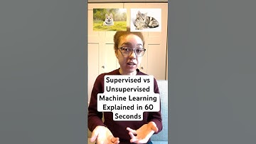 Supervised vs Unsupervised Machine Learning Explained in 60 Seconds | BarChartBudgie