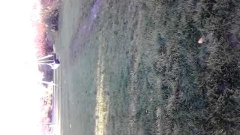 Squad zip line tutorial