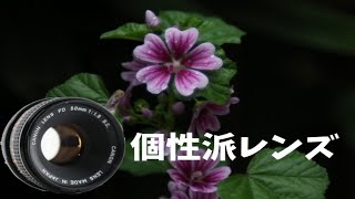 【個性派レンズ】CANON FD 50mm F1.8【オールドレンズ 】