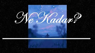 Ne Kadar? - Eray Bayındır  | Uykusuzlara Şiirler | Seslendiren ŞİİR KEŞİF
