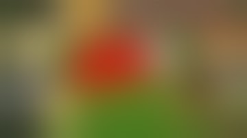 Bed Patch Mod 1.12.2/1.11.2/1.10.2 & How To Download and Install for Minecraft