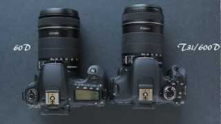 Canon 60D vs Canon T3i 600D [Dave Dugdale]