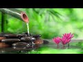 Relaxing Music - Healing Music, Meditation Music, Spa Music, Sleep, Study Music, Nature Soul