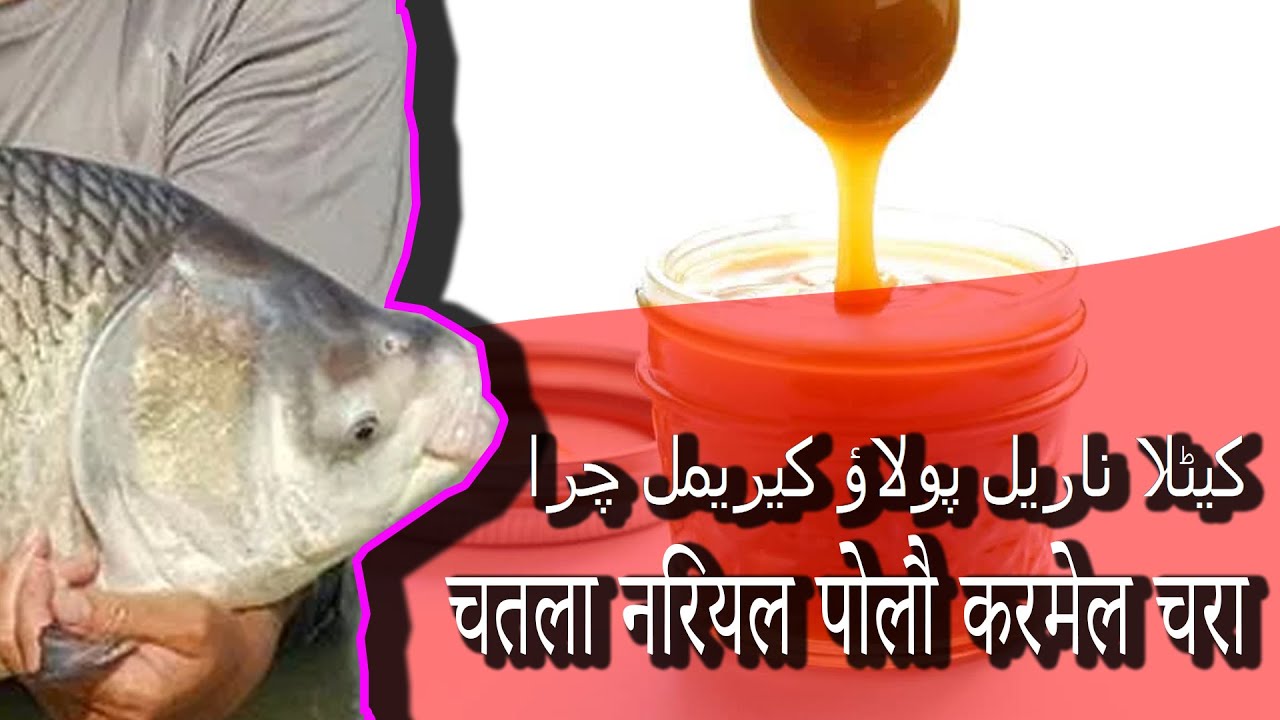 चत्ला नरियल पोलौ करमेल चरा کیٹلا ناریل پولاؤ کیریمل چرا Amazing Catla