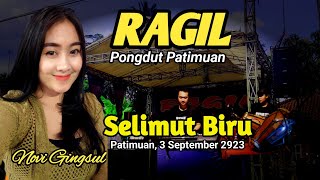 SELIMUT BIRU - NOVI GINGSUL - RAGIL PONGDUT