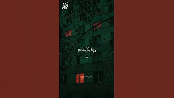 هَٰذَا صِرَاطٌ مُّسْتَقِيمٌ 🤍 القارئ محمد دياب #نفحات_شبان