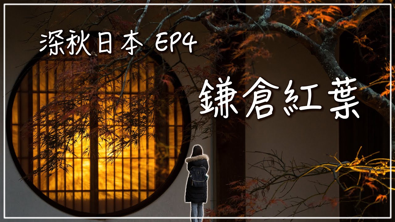 [深秋日本] EP4 鎌倉紅葉一日遊｜圓覺寺、東慶寺、明月院、小町通、長谷寺、橫濱港未來21