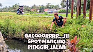 INFO DARI PAK MANTRI LANGSUNG GAS KITA PANCING