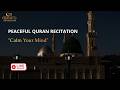 🔴 Morning Murottal Quran Recitation | KAHF, YASEEN, RAHMAN, WAQIAH,MULK | QURAN FITRA TV