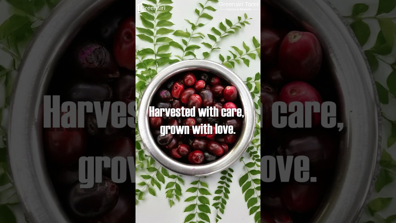 Tarini Farms and Resorts