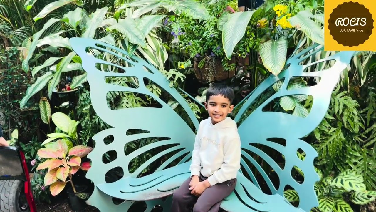 🔥The KeyWest Butterfly and Nature Conservatory🔥@rocisusavlog2835 #viral #minivlog #trend #florida 