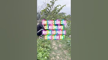 CÁ NƯỚNG MỌI | ẨM THỰC DÂN CÂU | NHƯNG KO PHẢI AI CŨNG GIÁM ĂN #cadonbenuong #calaukiengnuong