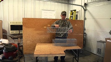 Wickenkamp Live Trap --- set of 3 muskrat traps