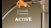 Crocodile Physics 605 Crack Serial Crocodile Physics 605 Crack Serial