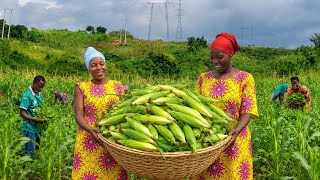 🌽 Huge Corn Harvest ! African Mom Cooking Traditional Village Food 