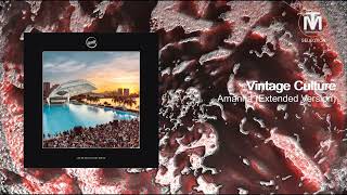 Vintage Culture - Amanha (Extended Version) [Cercle Records]