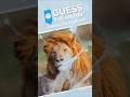 Guess the Undercover Animal