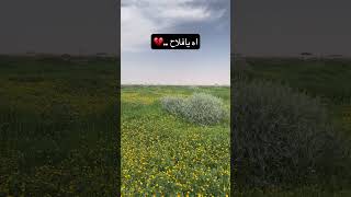 #سياحه #العطلة #السعودية