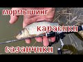 Караси и сазанчики на спиннинг,ранней весной . Мормышинг