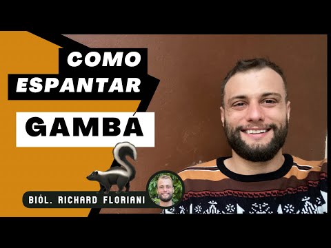 Vídeo: Como se livrar dos ácaros: 15 etapas (com fotos)