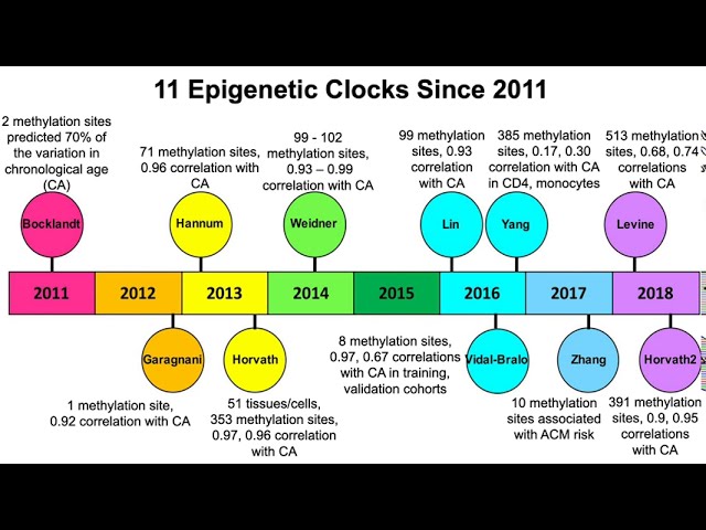 The Power and Potential of Epigenetic Aging Clocks