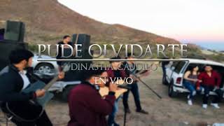 Pude Olvidarte - Dinastia Caudillo (En Vivo) chords