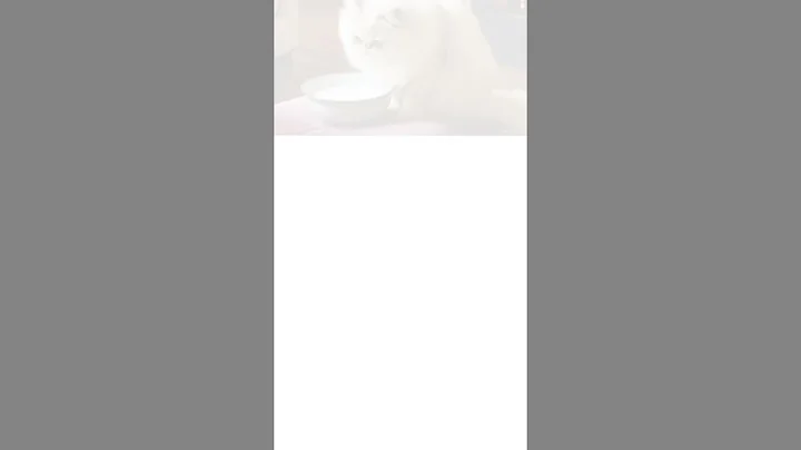 Video 9533461: fluffy persian cat, persian cat love, adorable persian kitten, doll face persian, cat milk, cutest cats