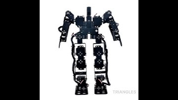 walking Robot | Biped Robot | TRIANGLES