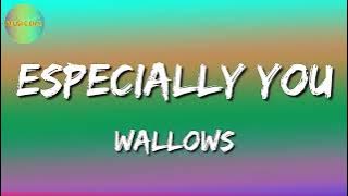 Wallows – Especially You  (Video Lyrics)
