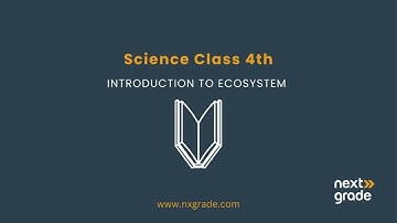 Introduction to Ecosystem | Grade 4 Science | Ecosystem | Lecture 1