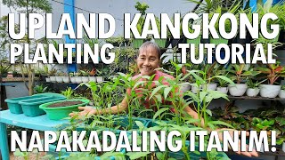 MAGTANIM TAYO NG KANGKONG! (Upland Kangkong Planting and Harvesting Tutorial) | Haydee's Garden