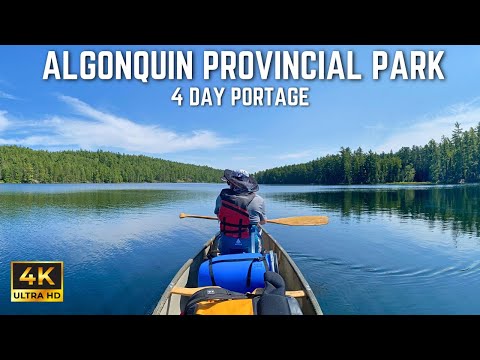 🇨🇦 4-Day Silent Portaging Canoe Trip in Algonquin Provincial Park, Canada