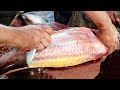 #AmazingCutting Skills | Big Pangasius Fish Skinning & Chopping Live In Fish Market