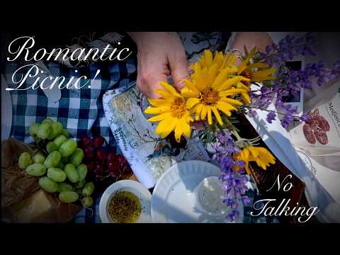 ASMR~Romantic Picnic @ Inspiration Point! (No Talking Version) Packing Basket & Nature Sounds