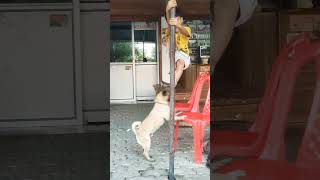 Dejjo Wth Avyuk......