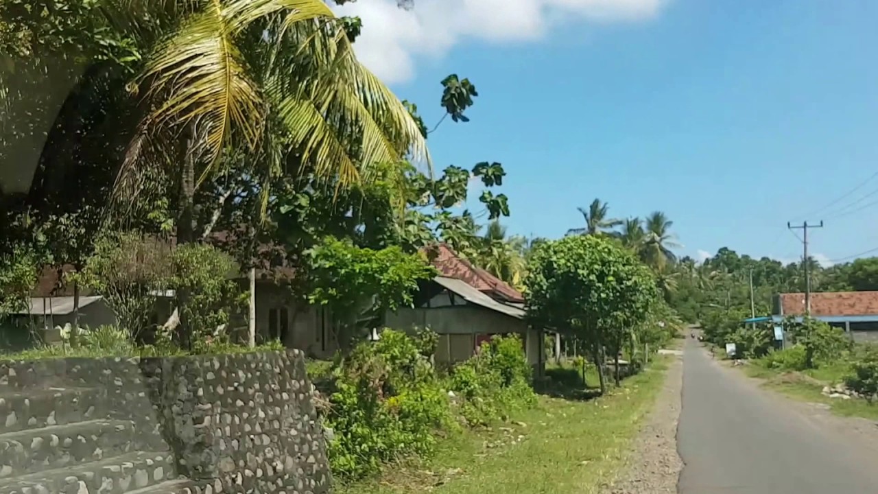  Jual  tanah di  Negara Bali  YouTube