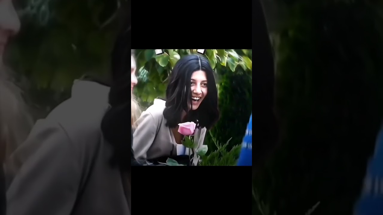 Sigma edit communist santa and bee penguin 