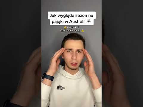 Wideo: Jaki jest najskuteczniejszy zabójca pająków w Wielkiej Brytanii?