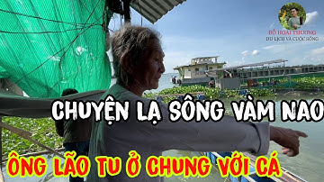 Sạt Lở Sông Vàm Nao Xuất Hiện Đàn Cá Khủng Về Ở Nhà ông lão Tu Hành