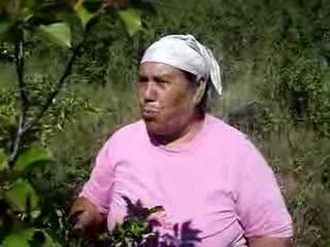 Coole Sprüche Oma Coole Sprüche Oma