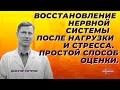 Восстановление нервной системы после нагрузки и стресса . Простой способ оценки.